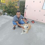  ,   , 45 ,   ,   