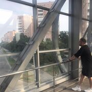 ���������� �������, ���� ������� ��������, 37 ���, ������������ ��� ������, ����� � ���������