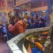  ,   , 40 ,   