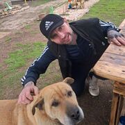 ���������� �������, ���� ������� Mifak, 33 ����, ������������ ��� ������, ����� � ���������, c�������� ���������, ���������