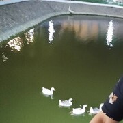  ,   Polat, 41 ,   ,   