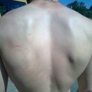 ���������� ���������, ���� ������� �����, 37 ���, ������������ ��� ������, ����� � ���������, c�������� ���������