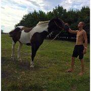 ���������� �������, ���� ������� �������, 27 ���, ������������ ��� ������, ����� � ���������