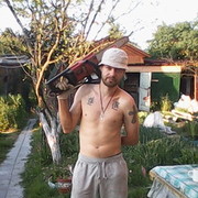  ,   , 43 ,   