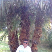 ���������� ������-��-����, ���� ������� �������, 58 ���, ������������ ��� ������, ����� � ���������, c�������� ���������