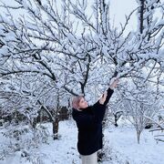 ���������� ������-��-����, ���� ������� ����, 45 ���, ������������ ��� ������, ����� � ���������, c�������� ���������