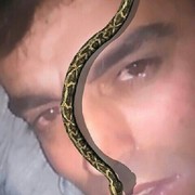  ,   , 46 ,   