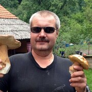 ���������� �����, ���� ������� ������, 45 ���, ������������ ��� ������, ���������