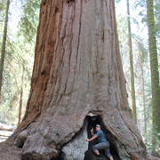 ���������� �����, ���� ������� ������, 48 ���, ������������ ��� ������, ����� � ���������, c�������� ���������