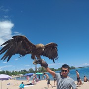 ���������� ������, ���� ������� ������, 37 ���, ������������ 