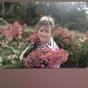 ���������� �����������, ���� ������� �������, 51 ���, ������������ ��� c�������� ���������, ���������