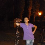  ,   , 41 ,   