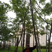  ,   , 54 ,   ,   
