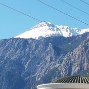 ���������� ������, ���� ������� Mustafa, 56 ���, ������������ 