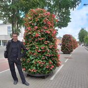  ,   Vitalii, 41 ,   ,   , c , 