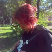  Rognan,  , 24