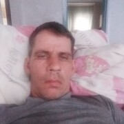  ,   , 41 ,   ,   
