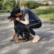 ���������� ������-��-����, ���� ������� �����, 30 ���, ������������ ��� ������, ����� � ���������