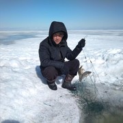 ���������� ��������, ���� ������� �����, 43 ����, ������������ ��� ����� � ���������, c�������� ���������