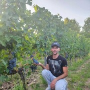 ���������� ������, ���� ������� ������, 39 ���, ������������ ��� c�������� ���������, ���������