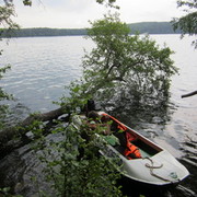 ���������� �����, ���� ������� �������, 45 ���, ������������ ��� ����� � ���������, c�������� ���������