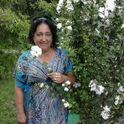  ,   , 65 ,   ,   , c 