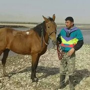  ,   Uktam, 40 ,   ,   