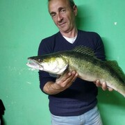  -,   , 56 ,   c 