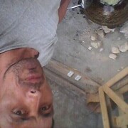  ,   , 38 ,   ,   