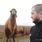 ���������� ��������, ���� ������� �����, 36 ���, ������������ ��� ������, ����� � ���������, c�������� ���������