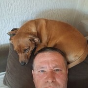  -,   Zoran, 47 ,   ,   