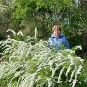 ���������� ����, ���� ������� �������, 64 ����, ������������ ��� c�������� ���������