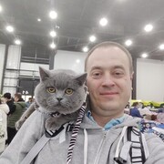 ���������� �����-���������, ���� ������� �����, 38 ���, ������������ ��� ������, ����� � ���������, c�������� ���������, ���������