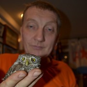  -,   , 55 ,   
