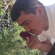 ���������� ��������, ���� ������� ��������, 37 ���, ������������ ��� ������, ����� � ���������, c�������� ���������, ���������