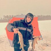  -,   Alexander, 31 ,   ,   , c 