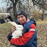  ,   ˸, 41 ,   ,   