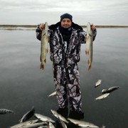 ���������� ���������, ���� ������� �������, 44 ����, ������������ ��� ����� � ���������, c�������� ���������