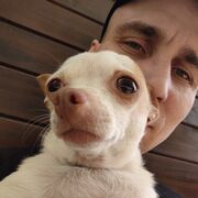 ���������� ������, ���� ������� �������, 35 ���, ������������ ��� ������, ����� � ���������