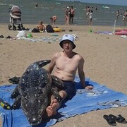  ,   , 46 ,   ,   , c , 