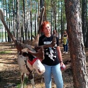  ,   , 44 ,   , 
