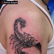 ���������� ������, ���� ������� ��������, 33 ����, ������������ ��� ������