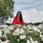 ���������� ��������, ���� ������� �������, 41 ���, ������������ ��� ������, ����� � ���������