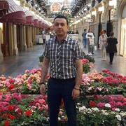 ���������� ������, ���� ������� ���, 38 ���, ������������ ��� ������, ����� � ���������