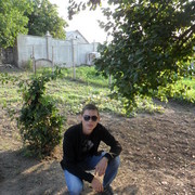  ,   Alex, 33 ,   ,   , c 
