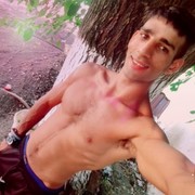 ���������� ����, ���� ������� ����, 33 ����, ������������ 