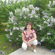  ,   , 59 ,   ,   