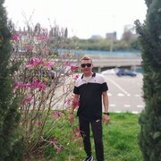 ���������� ����, ������� �������, 43