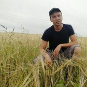 ���������� ������, ���� ������� ������, 38 ���, ������������ ��� ������, ����� � ���������, c�������� ���������