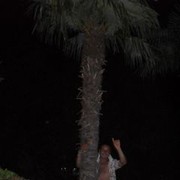 ���������� ���������, ���� ������� �������, 37 ���, ������������ 